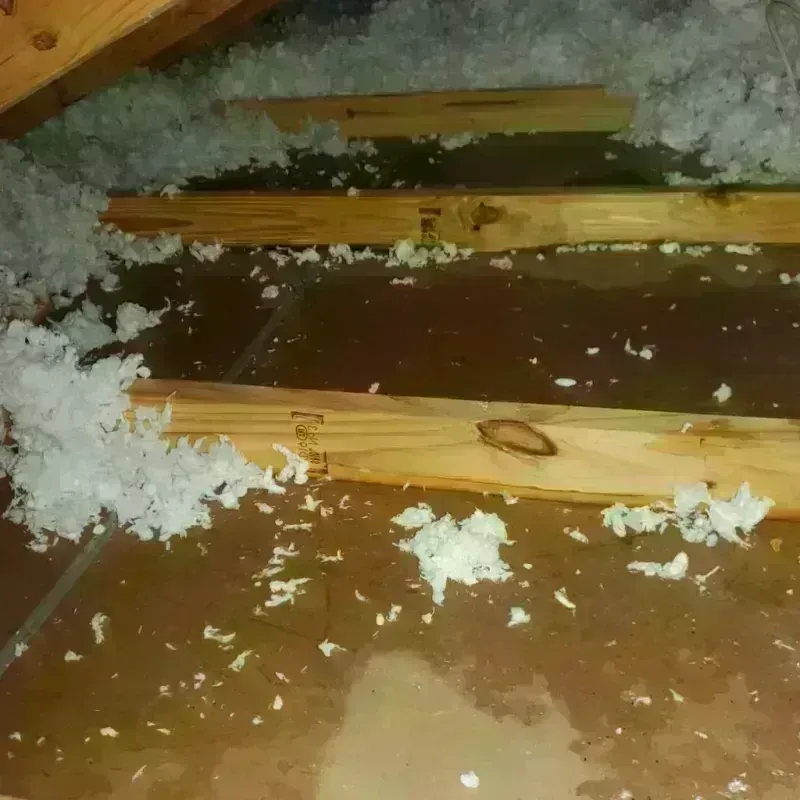 Attic Water Damage in Auburn, WA