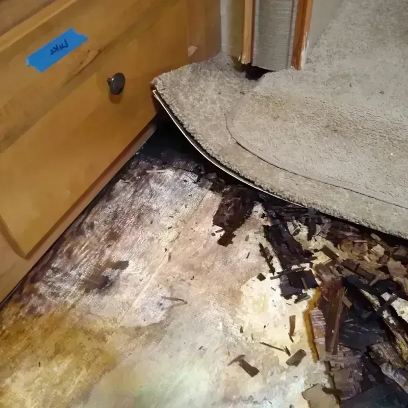 Wood Floor Water Damage in Auburn, WA